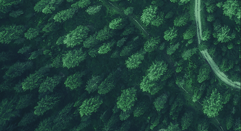 ku娱乐科技 |  让火灾远离森林