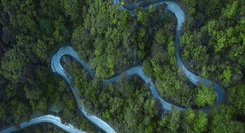 秋天上火了？有“药”！| 防火险、知火点、精研判，谨防林火“秋又生”