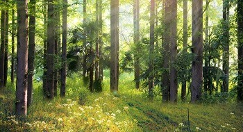 秋冬防火季已至 | ku娱乐科技创新产品助力各省市打响森林保卫战